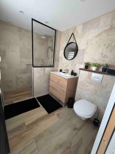 een badkamer met een douche, een toilet en een wastafel bij Gite Le Long de l'eau in Long