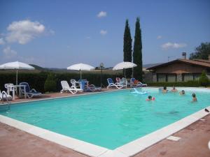 a group of people swimming in a swimming pool at Agriturismo Bandinacci in Santa Luce