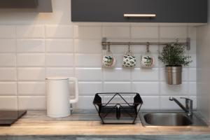 um balcão de cozinha com um lavatório com uma bandeja em Apartamenty Cichy Zakątek em Kudowa-Zdrój