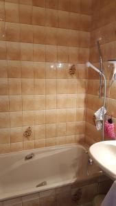 Ένα μπάνιο στο maison calme , jardin 20 min de geneve +29 φωτογραφίες