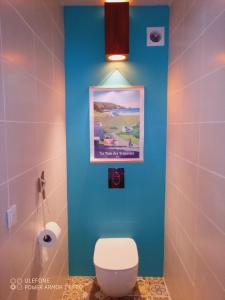 ein Bad mit einem WC und einer blauen Wand in der Unterkunft Beach House à Terre de Haut in Terre-de-Haut