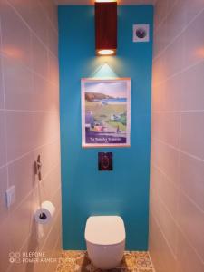 ein Bad mit einem WC und einer blauen Wand in der Unterkunft Beach House à Terre de Haut in Terre-de-Haut + 10 Fotos