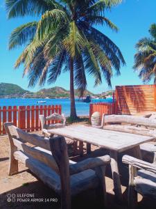einen Holztisch und Stühle neben einer Palme in der Unterkunft Beach House à Terre de Haut in Terre-de-Haut