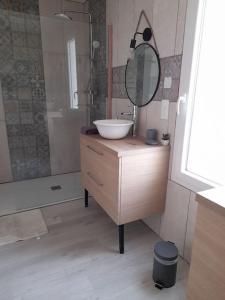 een badkamer met een wastafel, een spiegel en een douche bij Gîte le relais du Mardelon in Messemé