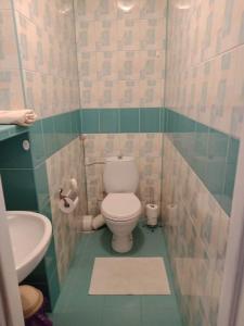コウォブジェクにあるApartament na Ogrodachの小さなバスルーム(トイレ、シンク付)