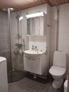 a bathroom with a shower and a toilet and a sink at Mukkula Vanhatie in Lahti