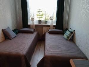 2 Betten in einem Zimmer mit Fenster in der Unterkunft Apartament na Ogrodach in Kołobrzeg