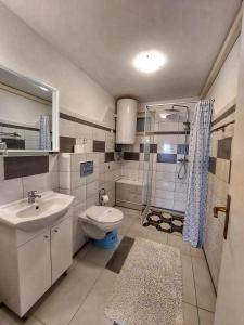 a bathroom with a sink and a toilet and a shower at Apartments Dumic Crikvenica in Crikvenica