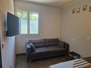 a living room with a couch and a flat screen tv at Appartement indépendant dans maison avec jardinet, au calme in Sérézin-du-Rhône