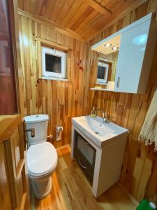 a bathroom with a toilet and a sink at Hamsiköy Dağ Evi in Macka