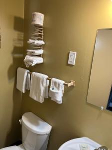 Koupelna v ubytování Motel 66