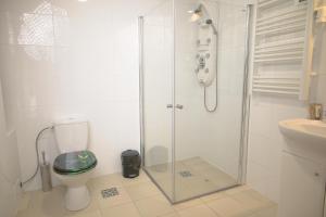 uma casa de banho com um chuveiro, um WC e um lavatório. em Kongres Czarownic em Zagnańsk