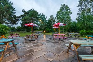 un grupo de mesas de picnic con sombrillas en un patio en The Queens en Carlisle