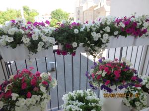 un ramo de flores colgando de una valla en Apartament Świnoujście, en Świnoujście