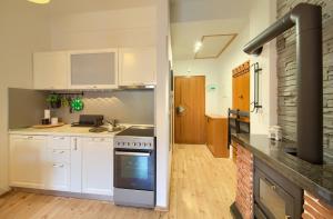 Kuchyň nebo kuchyňský kout v ubytování Studio Apartman Roxy + 22 fotografií