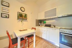 Kuchyň nebo kuchyňský kout v ubytování Studio Apartman Roxy