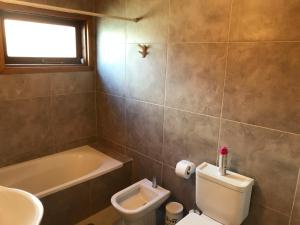 ein Badezimmer mit einem WC, einem Waschbecken und einer Badewanne in der Unterkunft Alojamiento Ruca wenüy dpto 01 in San Carlos de Bariloche