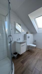 a bathroom with a shower and a sink and a toilet at Szczere Pole Nad Morzem in Strzezenice