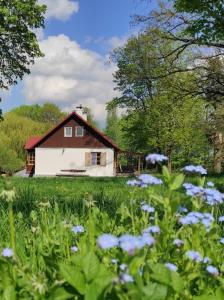 une maison au milieu d'un champ avec des fleurs bleues dans l'établissement Świętokrzyskie Dworek Radkowice Kasztanowa Aleja, à Radkowice