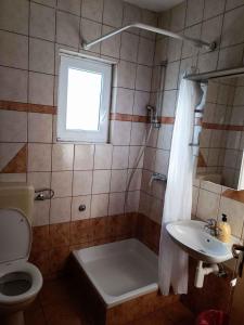 a bathroom with a toilet and a sink and a shower at Apartment Lopar, Primorje-Gorski Kotar 5 in Lopar
