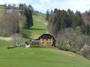 una casa en medio de un campo verde en Casa Safra en Kötschach