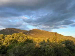 Príroda v okolí vily