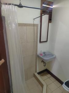 利比里亞的住宿－Hostel Pura Vida en Liberia，浴室配有淋浴帘和盥洗盆。