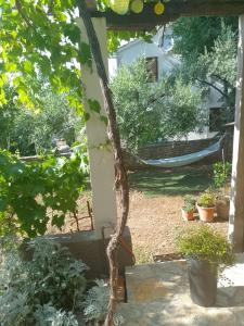 uma árvore no meio de um quintal com plantas em Apartman Sutivan em Sutivan