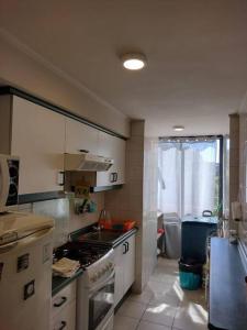 Kuchyň nebo kuchyňský kout v ubytování Céntrico departamento a pasos del lago