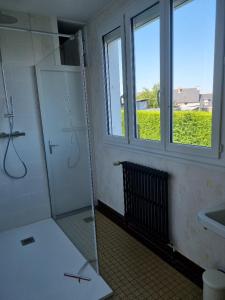 La salle de bains est pourvue d'une douche et d'un lavabo. dans l'établissement Chambre dans maison à partager, à Talensac