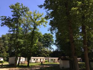Saint-Chéron的住宿－Mobile Home ~ Parc des Roches，公园里一排树木可移动的房屋