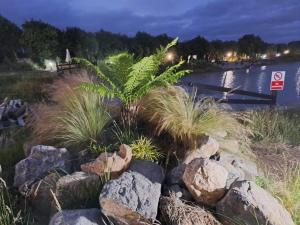 una planta en un jardín de rocas junto a un río en Pond Beach 2ppl, 