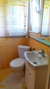 a bathroom with a toilet and a sink at Widok na Śnieżkę in Miłków