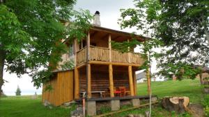 una cabaña de madera en un campo con un árbol en Guest house Oaze, en Miglāni