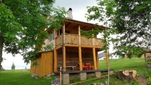 a log cabin in a field with a tree at Guest house Oaze in Miglāni