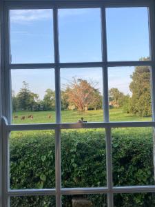 ein Fenster mit Blick auf ein Feld von Kühen in der Unterkunft The Nurseries in Boyle