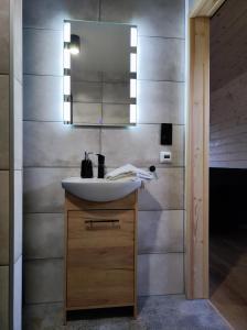 a bathroom with a sink and a mirror at Widok na Śnieżkę - domki całoroczne in Łomnica