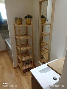 a bathroom with a wooden shelf with potted plants on it at Spacieux appartement en duplex in Merlimont