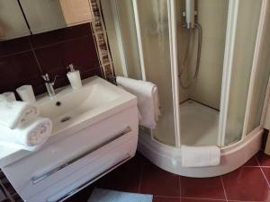 y baño con lavabo y ducha. en Apartman Roža en Matulji