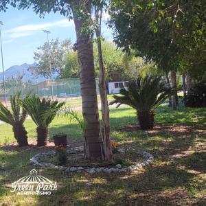 een palmboom in het midden van een park bij alloggio greenpark in Milazzo