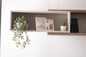 een plank met boeken en een plant erop bij Apartman Vas dom 2 in Kraljevo