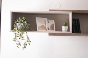 Galería fotográfica de Apartman Vas dom 2 en Kraljevo
