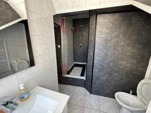 ein Bad mit einer Dusche, einem Waschbecken und einem WC in der Unterkunft appartement meublé in Vincennes