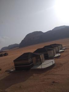 un grupo de tiendas sentadas en el desierto en Desert guide camp, en Wadi Rum