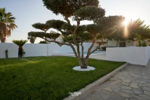 a tree in the middle of a yard at La Casa de Marieta "B" in Deltebre