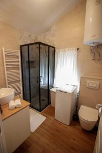 a bathroom with a shower and a toilet and a sink at Apartment Castelmuschio in Omišalj