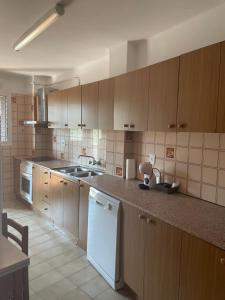 cocina con armarios de madera y lavavajillas blanco en Apartamento con estupendas vistas a Coll de Nargó, en Coll de Nargó
