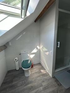 La salle de bains est pourvue de toilettes avec un siège vert. dans l'établissement Appartement plein de charme, à Coignières