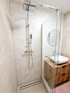 a shower stall with a sink and a mirror at City Center Apartment - Self check-in in Spišská Nová Ves