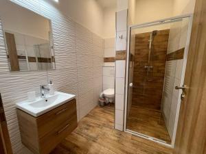 a bathroom with a shower and a sink and a toilet at Apartmán TATRAFUN in Tatranská Lomnica
